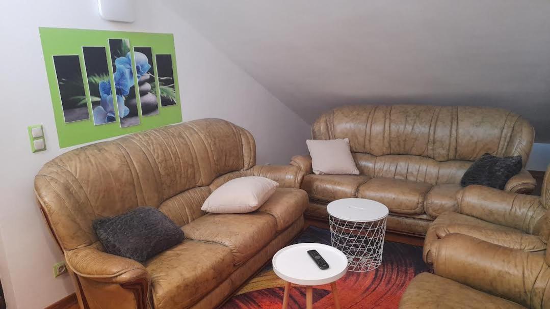 Apartmani Delas 2 ペシュチャーナ・ウヴァラ エクステリア 写真